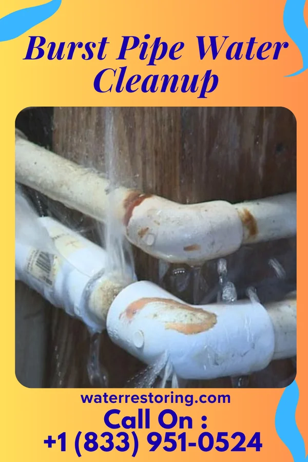 Burst Pipe Water Cleanup in Morrisville, NY