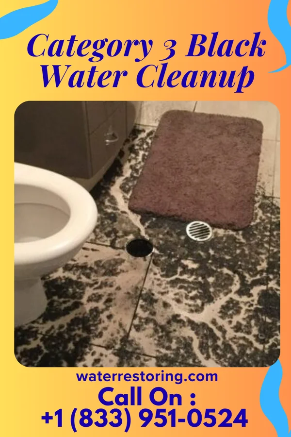Category 3 Black Water Cleanup in Morrisville, NY