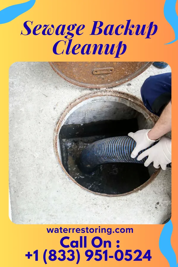 Sewage Backup Cleanup in Morrisville, NY