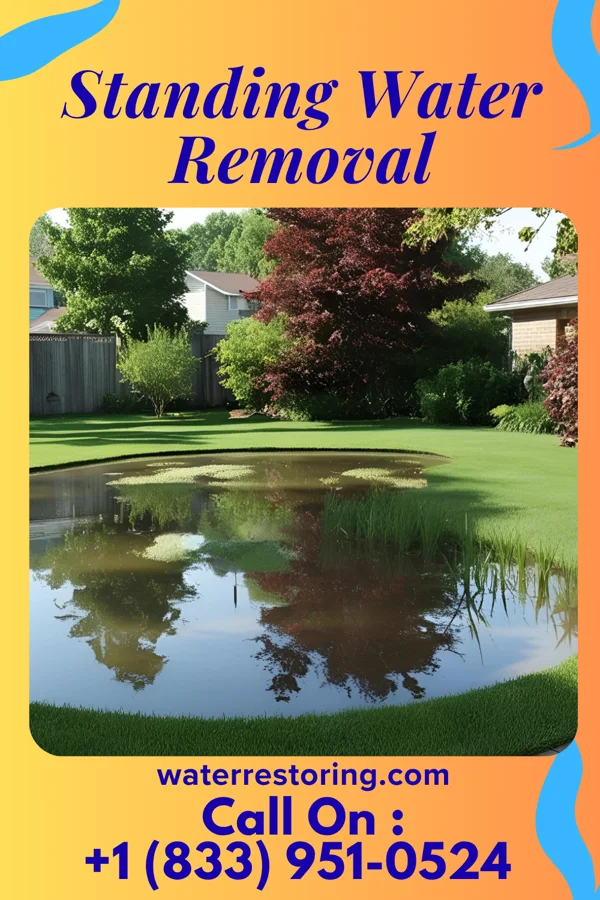 Standing Water Removal in Morrisville, NY
